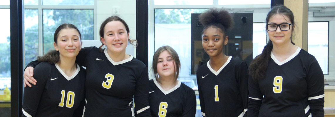 Volleyball
