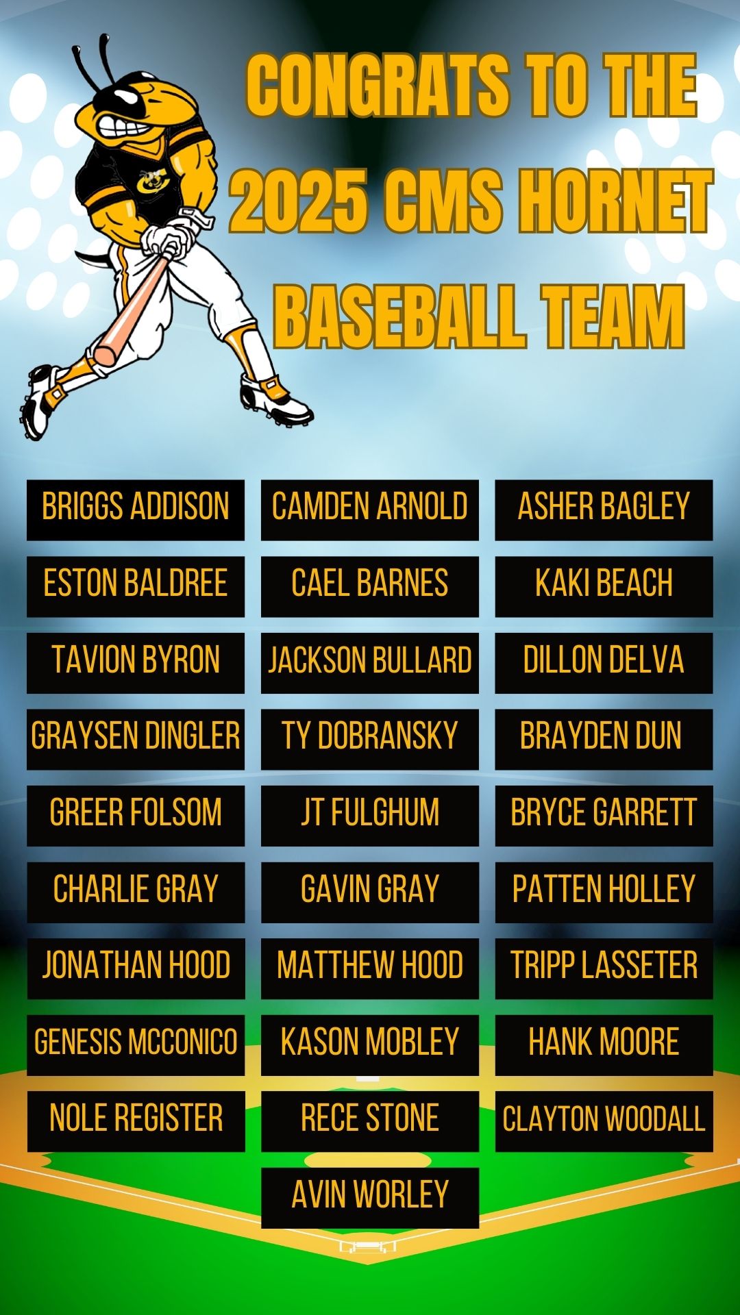 2025 Baseball Team Roster