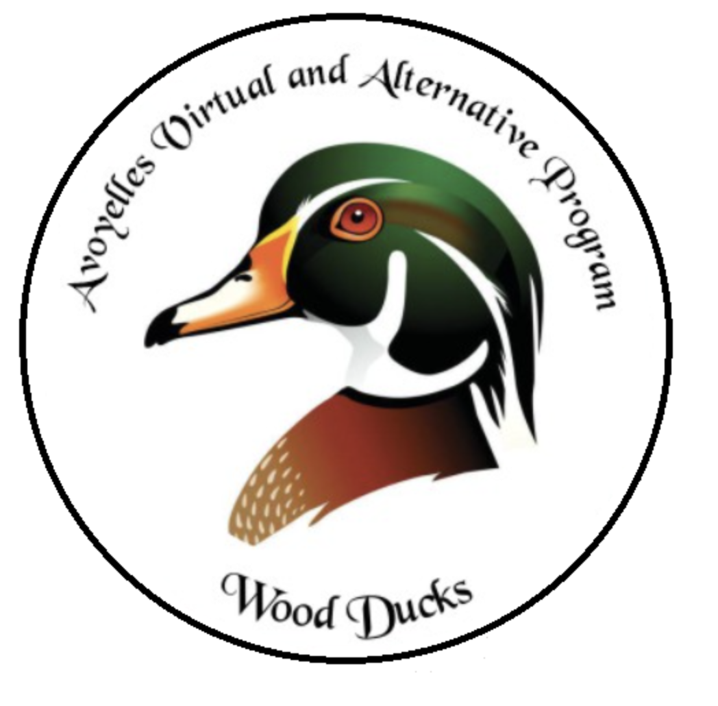 AVAP Wood Ducks