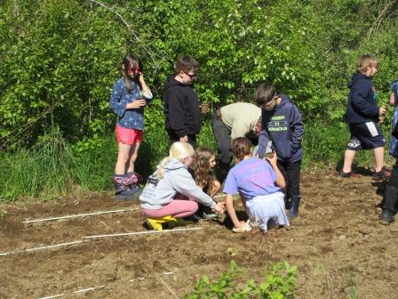Planting Pumpkins 060325