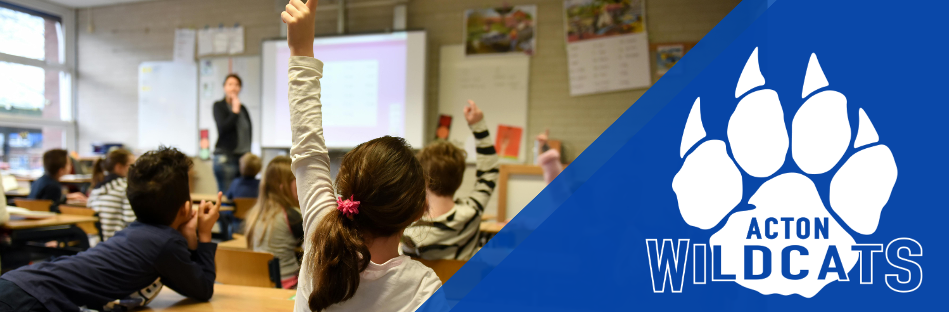 acton wildcast over students raising hands in a classroom