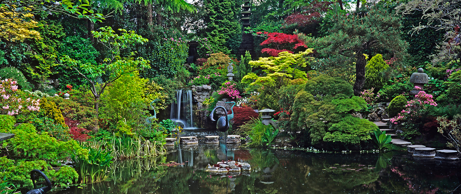 Stepping Stones Japanese Water Garden
