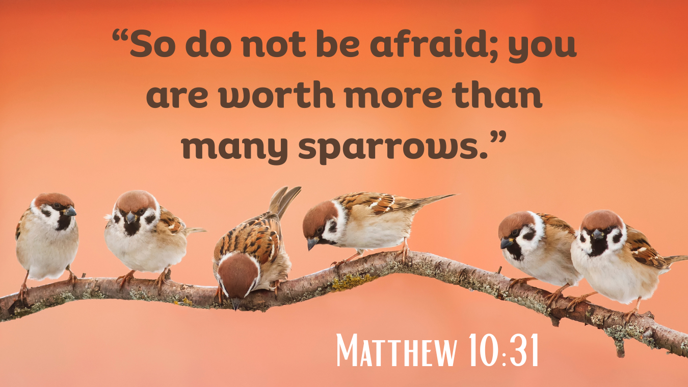 12th Sunday in Ordinary Time