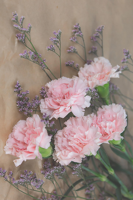 Class Flower Class Flower