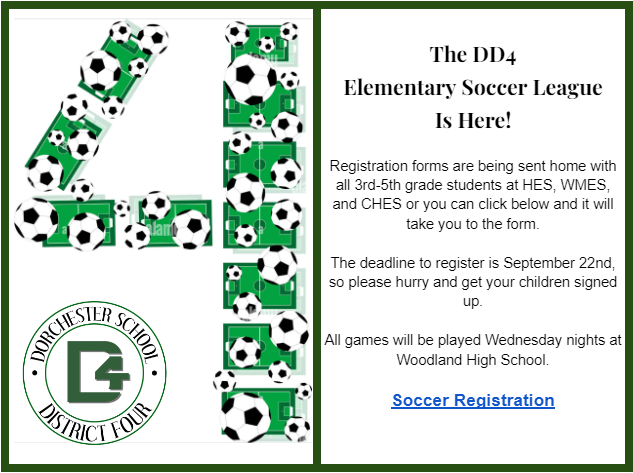 DD4 Elementary Soccer Program