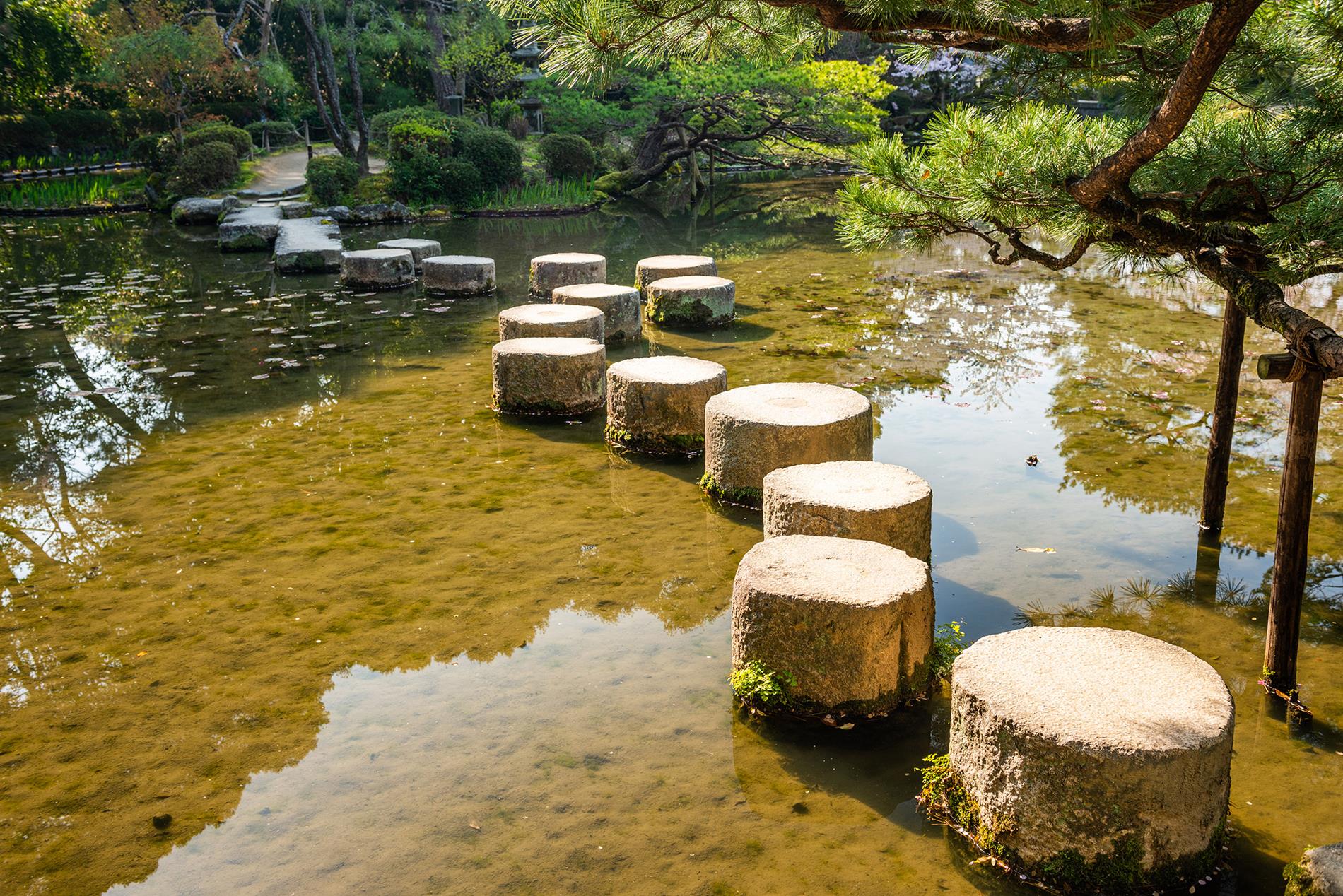 Stepping Stones across a river 