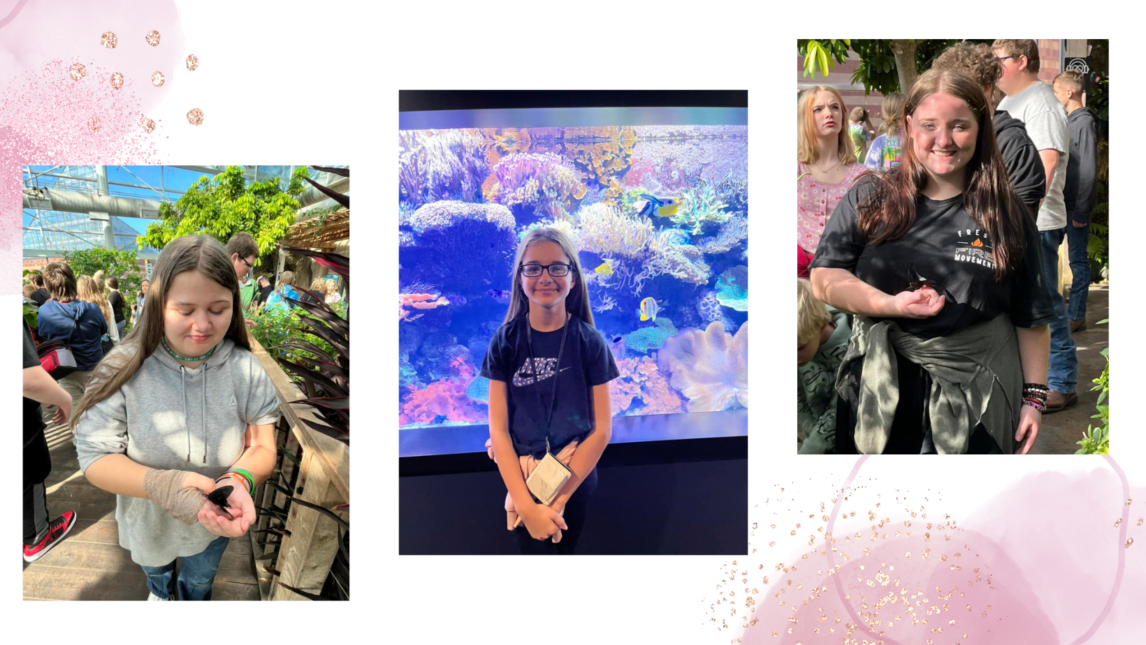 Pine View Aquarium 