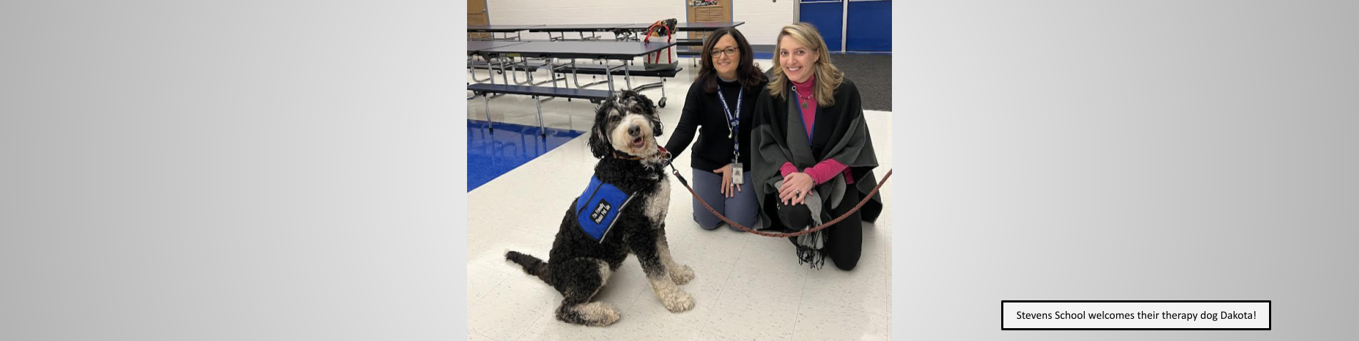 Stevens School welcomes their therapy dog Dakota!