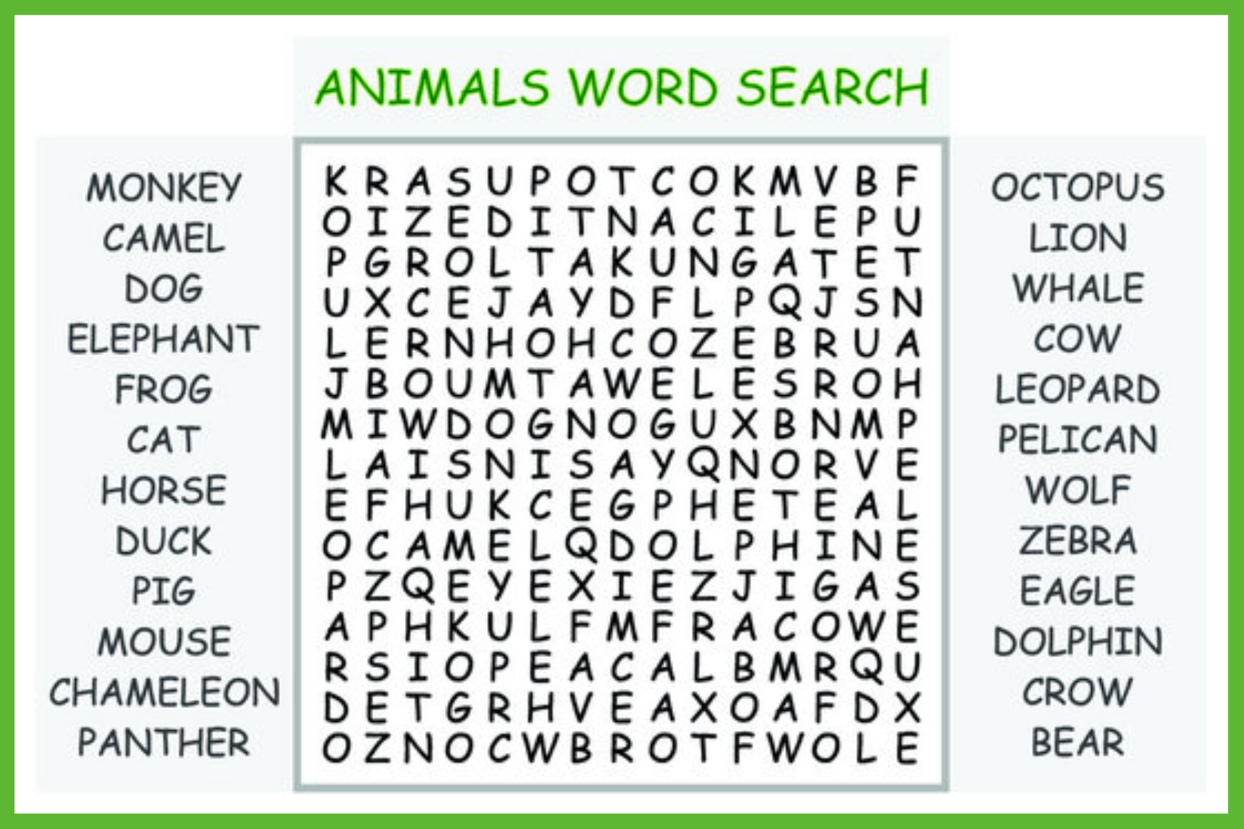 Animal word search
