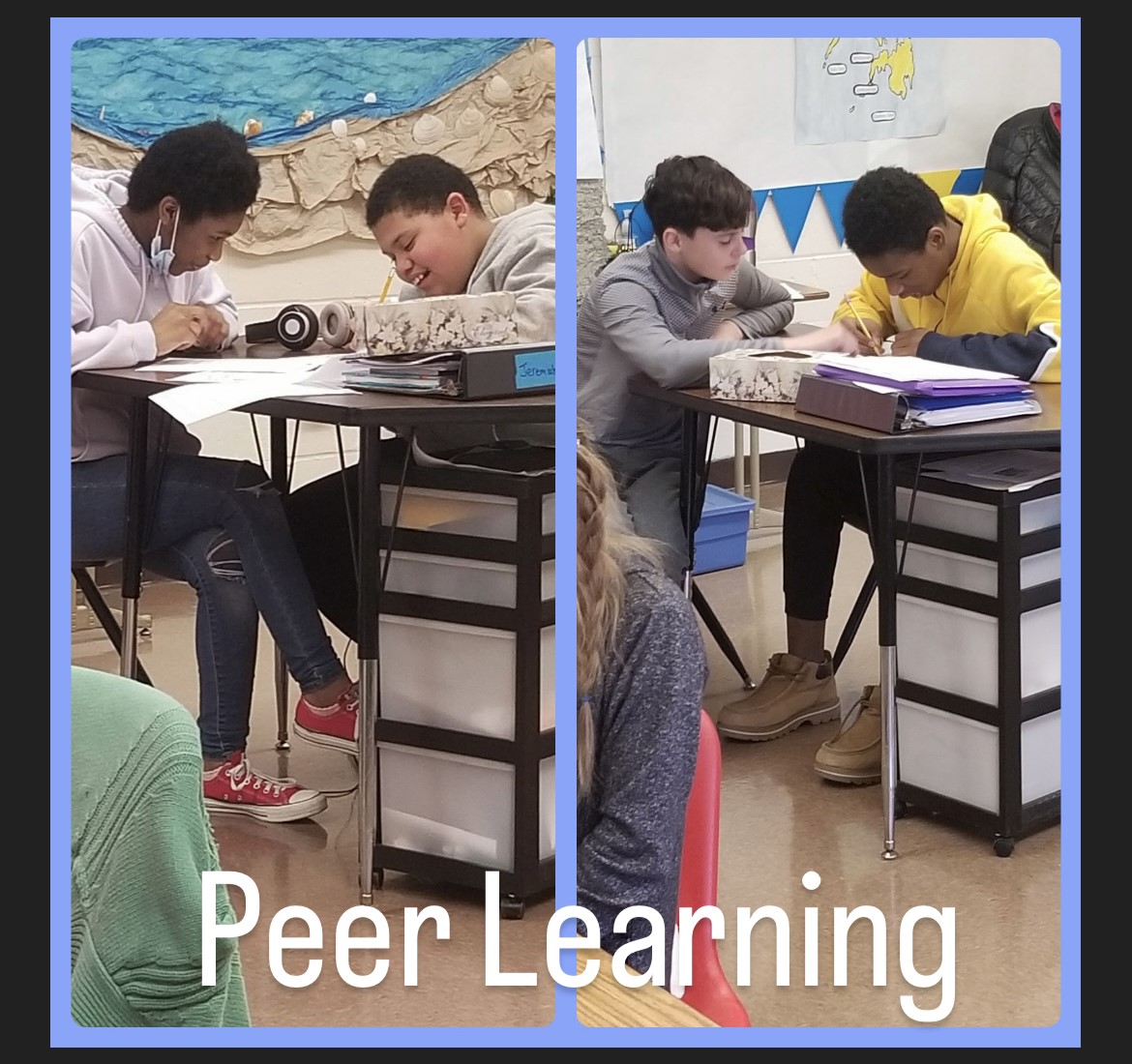 Peer Learning