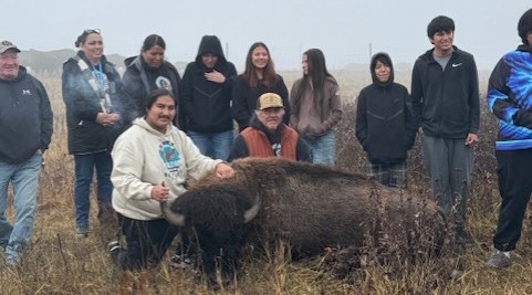 BUFFALO HARVEST 2025