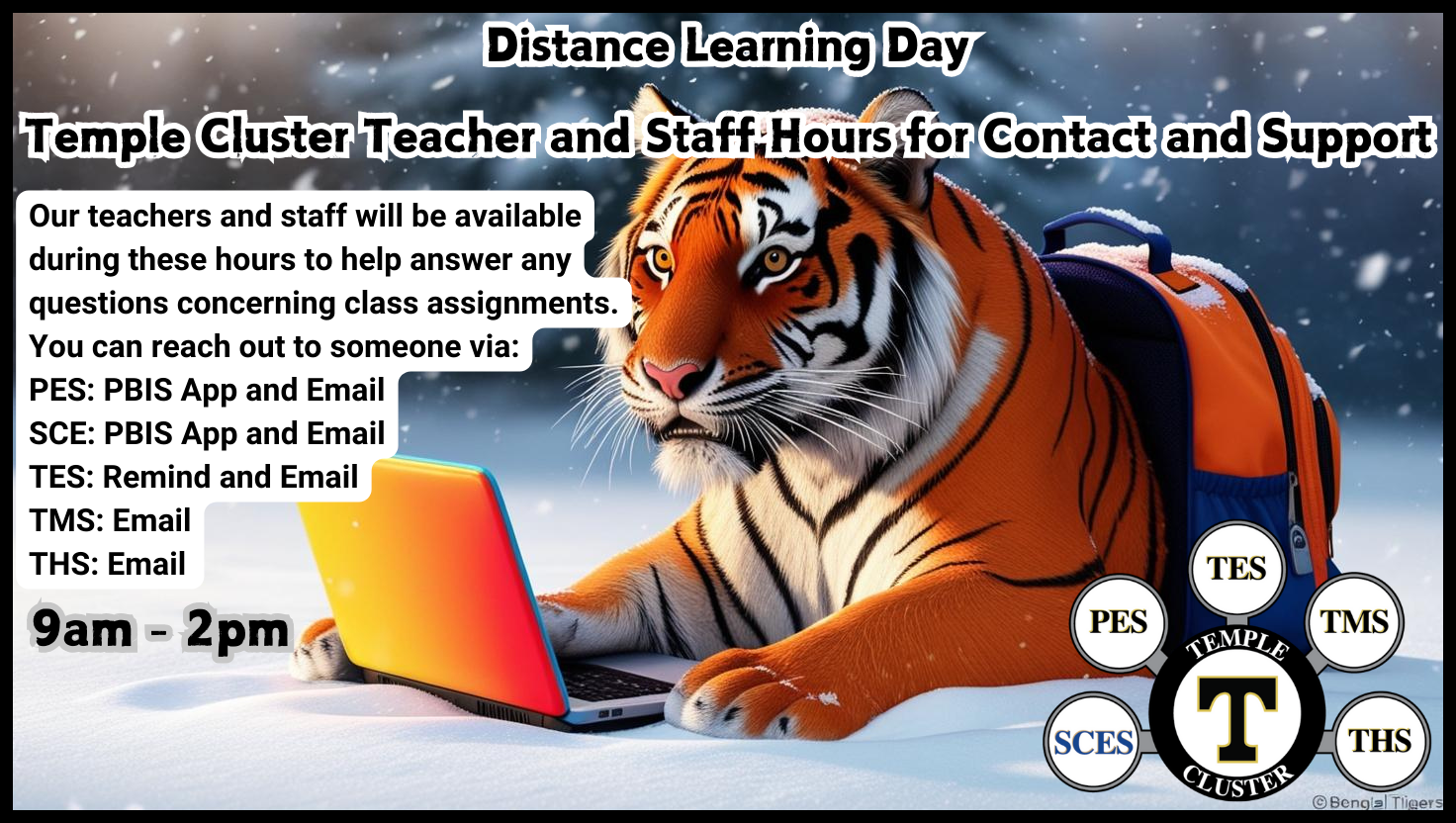 Distance Learning Day Contact Times