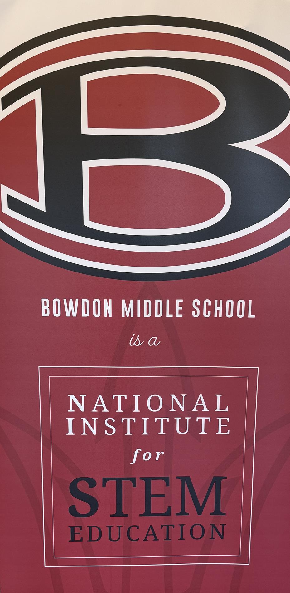 National Institute for STEM Education Banner 