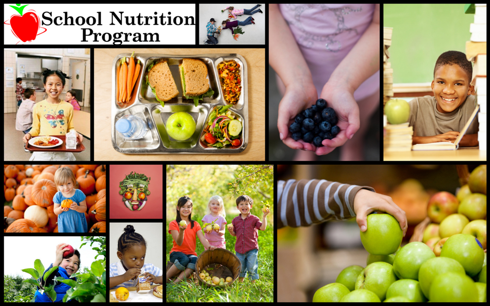 Nutrition Program