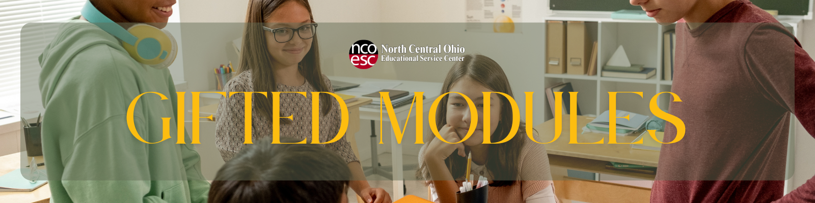 Gifted Modules Competencies A-H Gifted Modules Competencies A-H