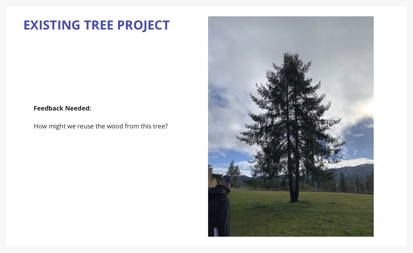 Existing Tree Project - query on how to reuse the wood from an existing tree on the building site