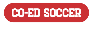 Co-Ed Soccer