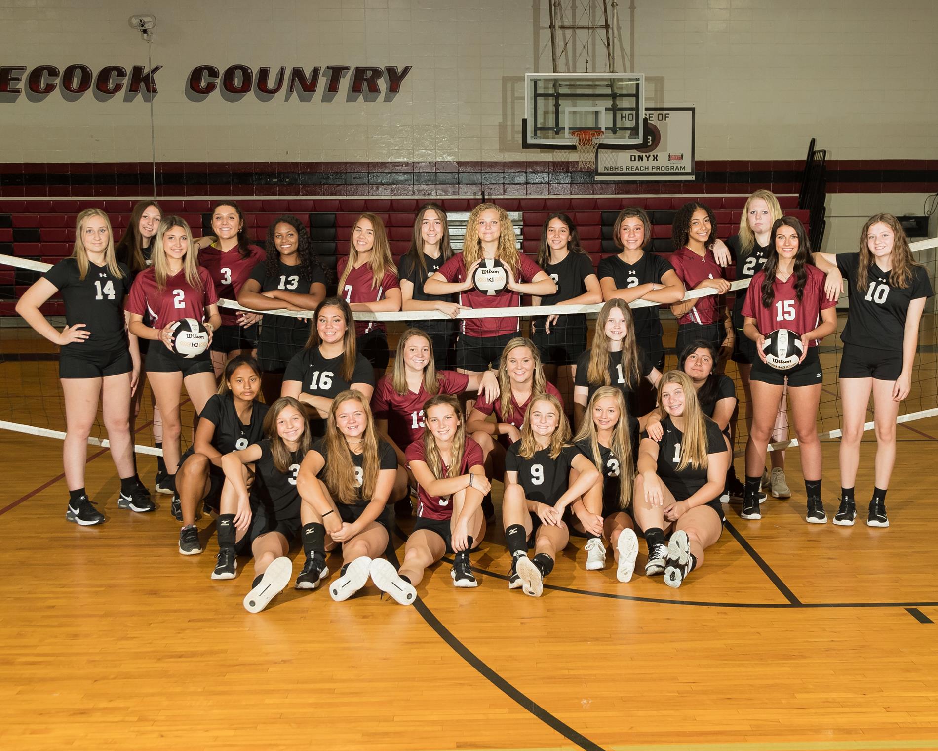 Volleyball Varsity, JV & JH