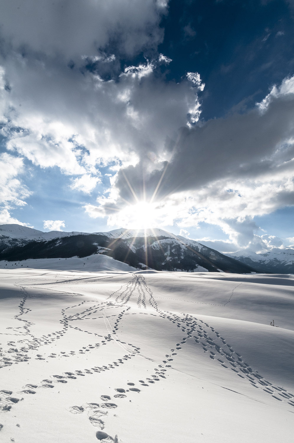 Stepping Stones Snowshoeing to the Mountain