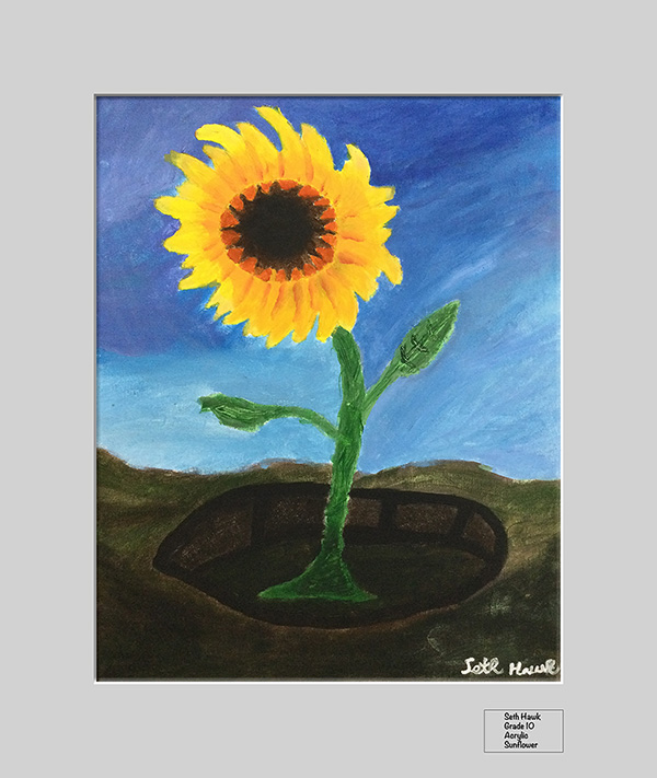 Seth Hawk - Acrylic Painting - Sunflower