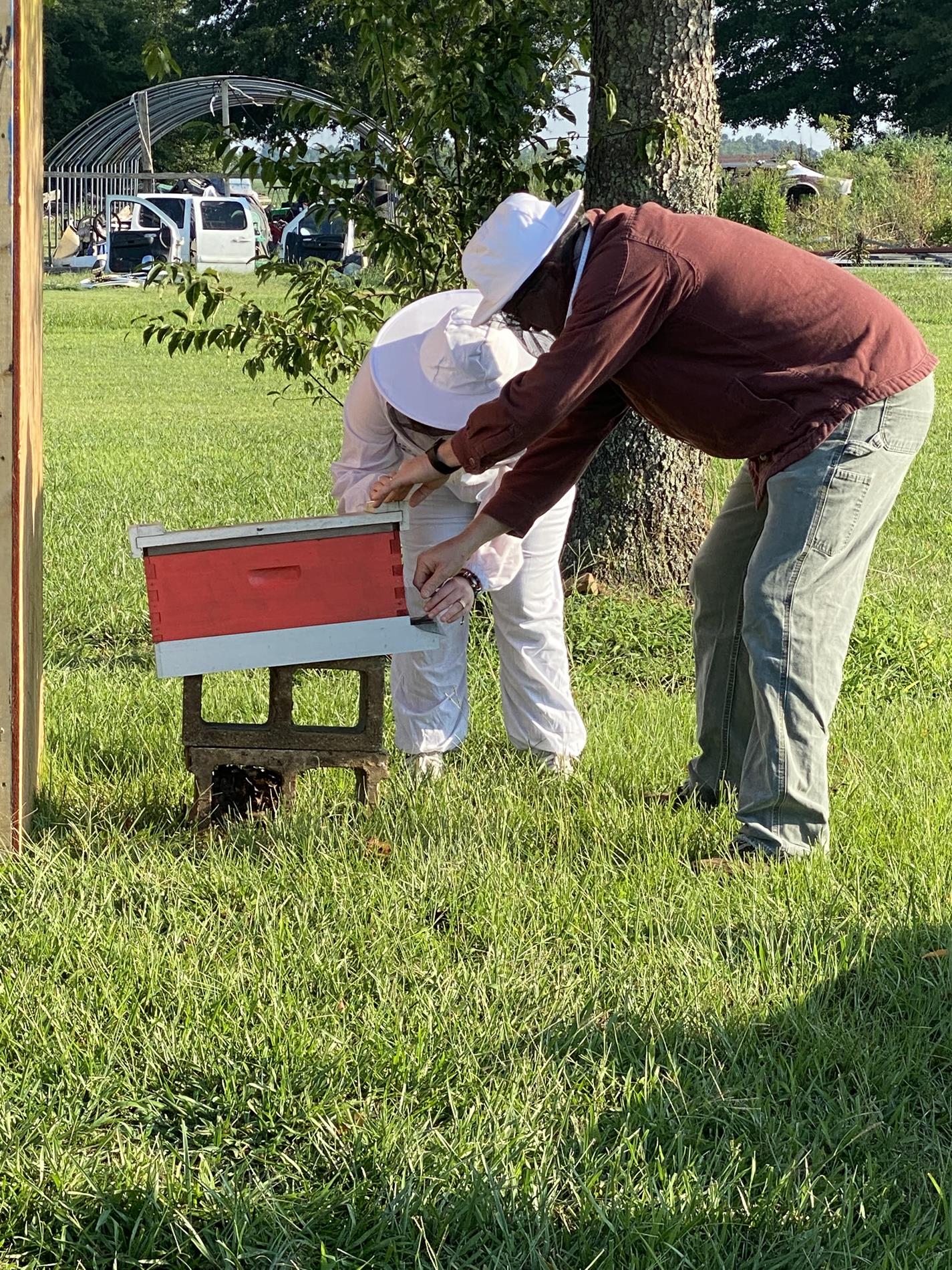 Emma learning about bees