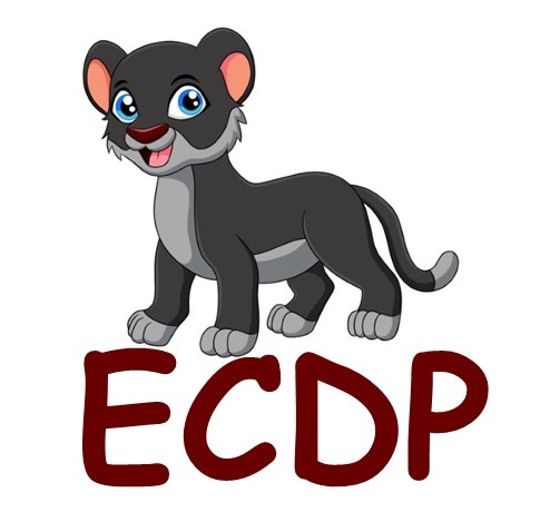 Eclectic Child Development Program Eclectic Child Development Program
