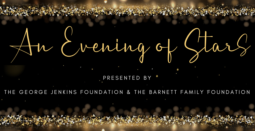 Evening of Stars Banner