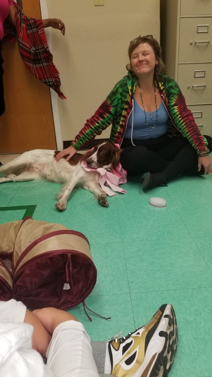 Pinl the Therapy Dog