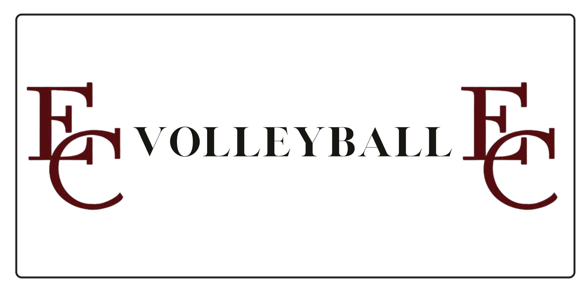 Volleyball Banner