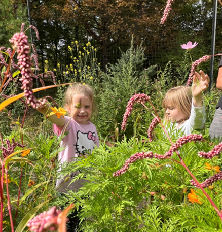 Students in garden