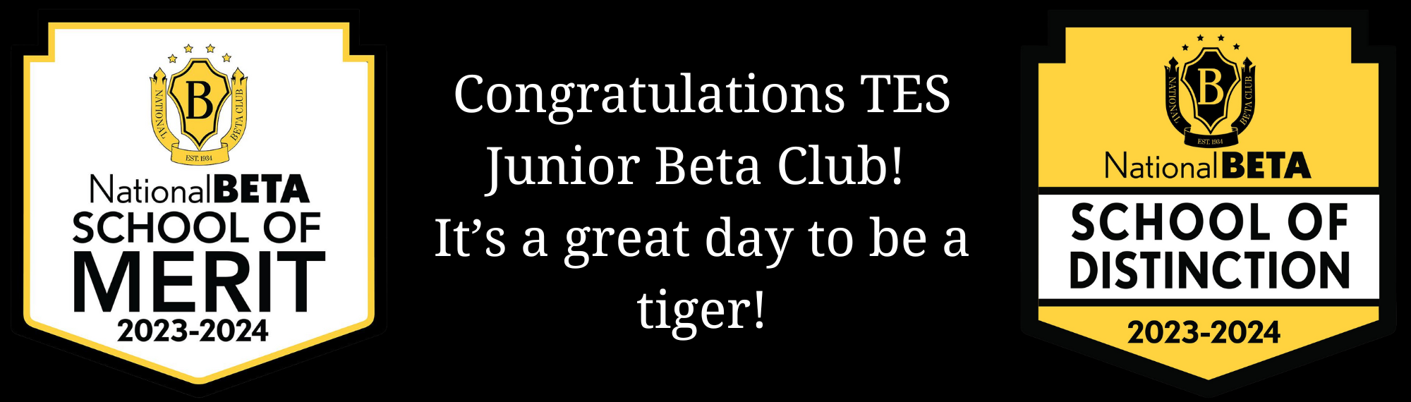 Junior Beta Banner