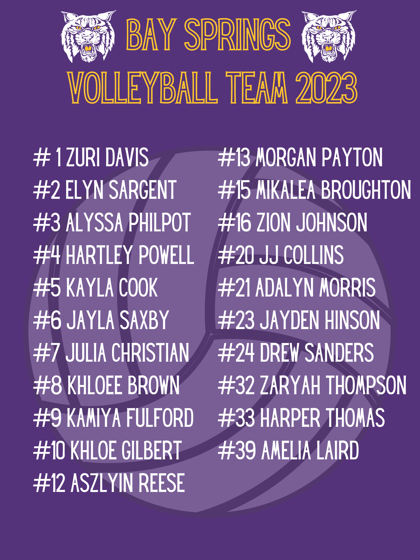 2023 volleyball roster