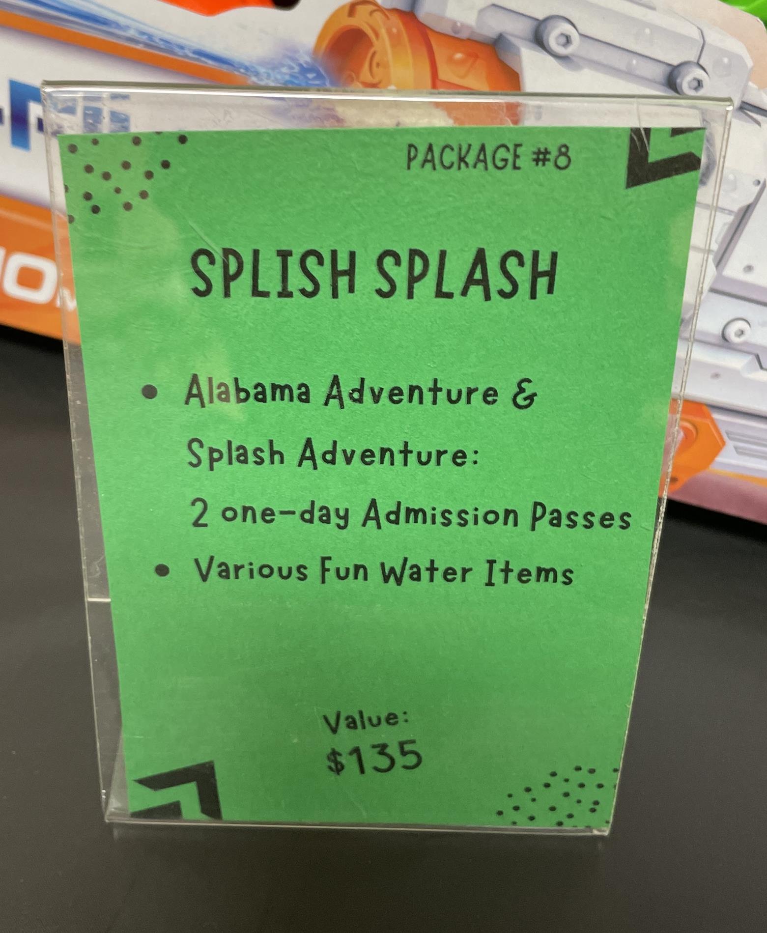 Auction Item #8: Splish Splash