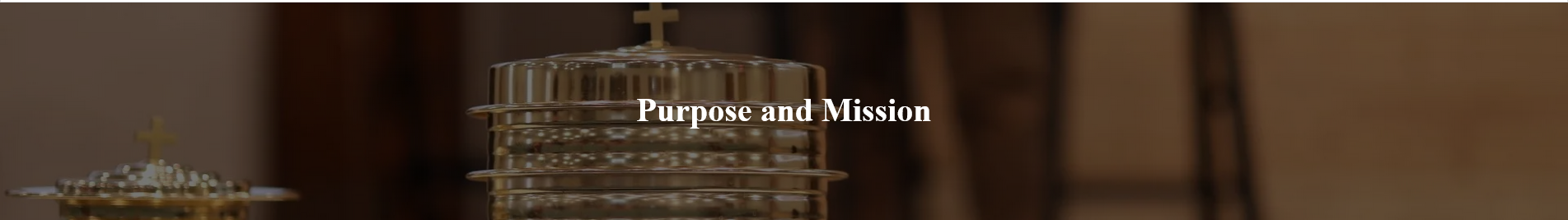 Purpose and Mission Banner Purpose and Mission Banner