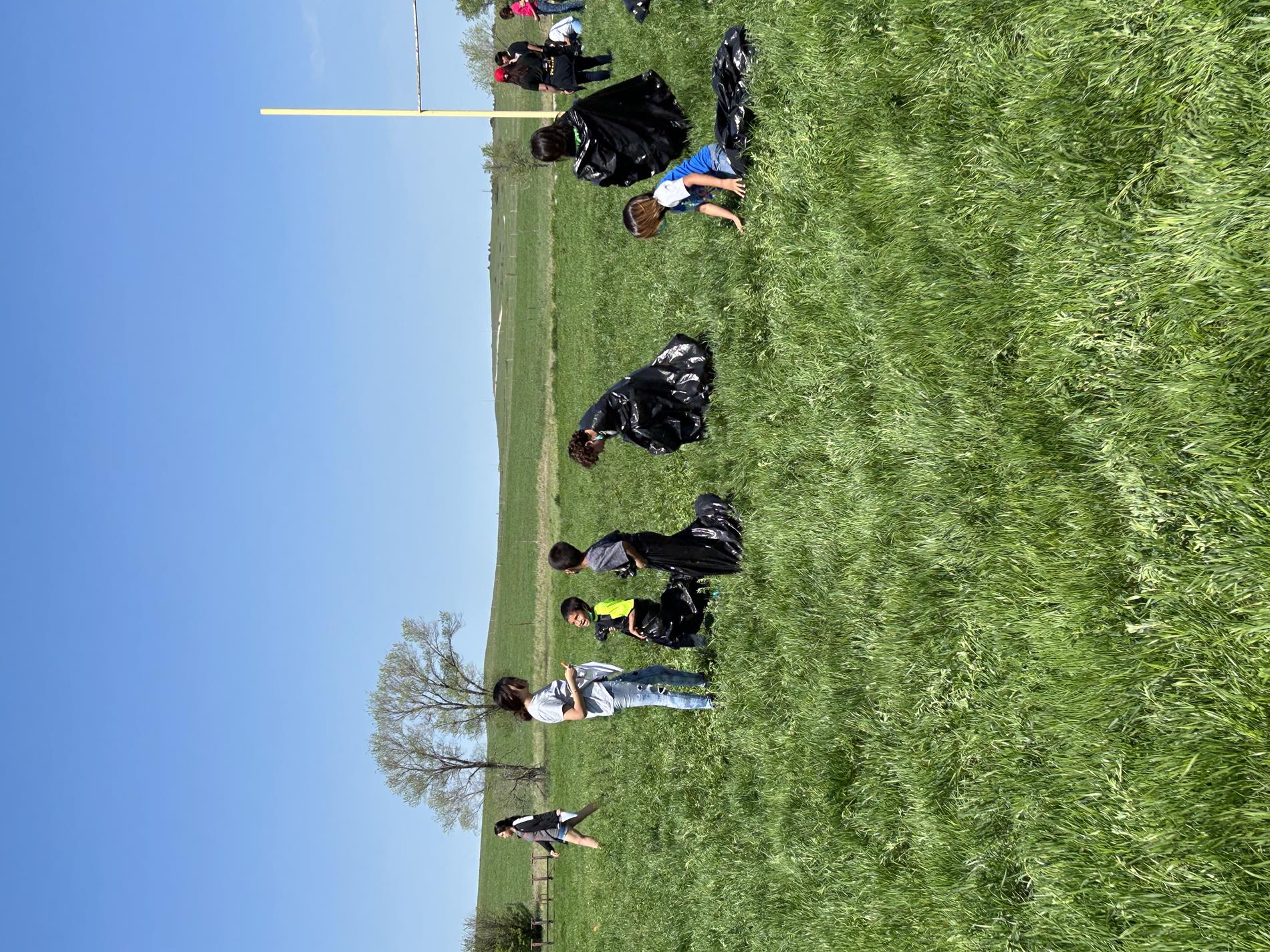 Elementary Field Day