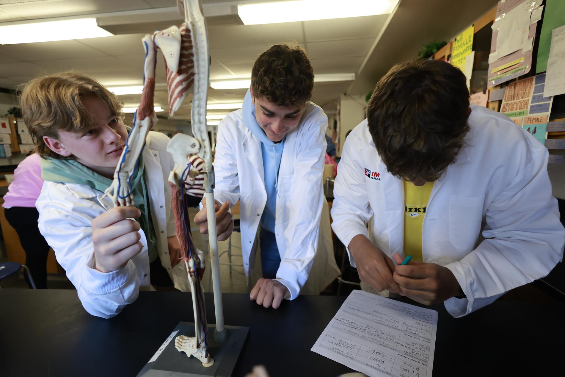 Three male high school students in white lab coats examine a model of the human body