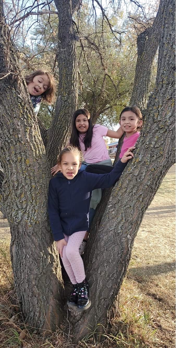 4 students in a tree