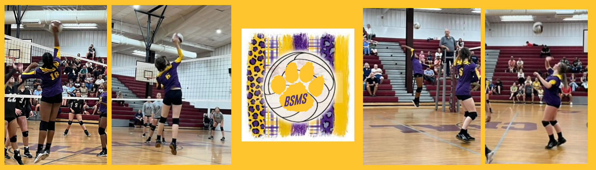 BSMS Volleyball 2022