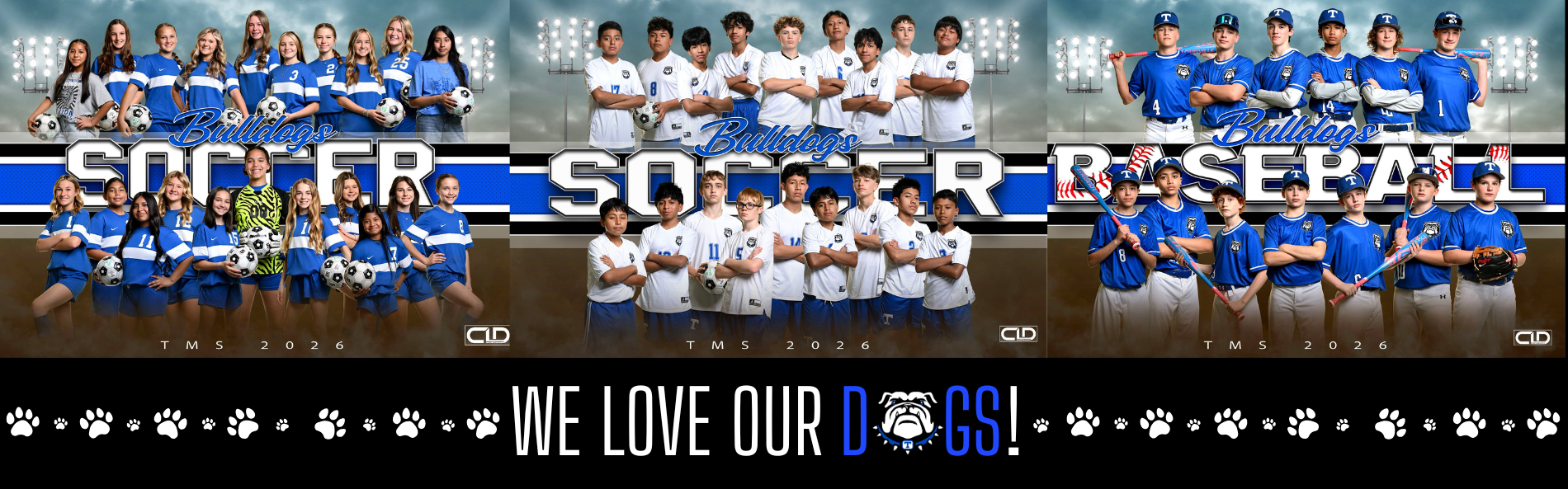 25-26 Spring Sports Banner 1