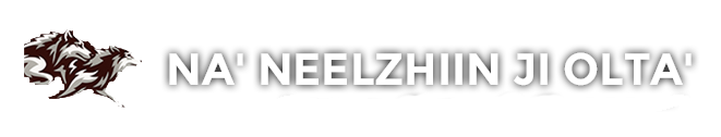 Na' Neelzhiin Ji Olta'