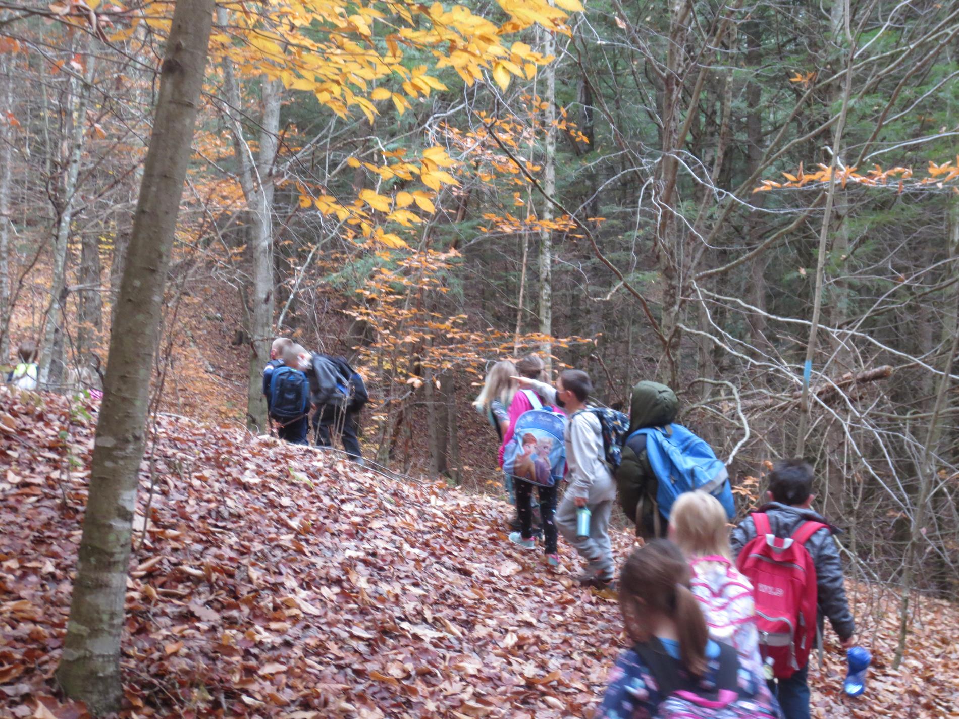 All School Hike on the Cross Rivendell Trail