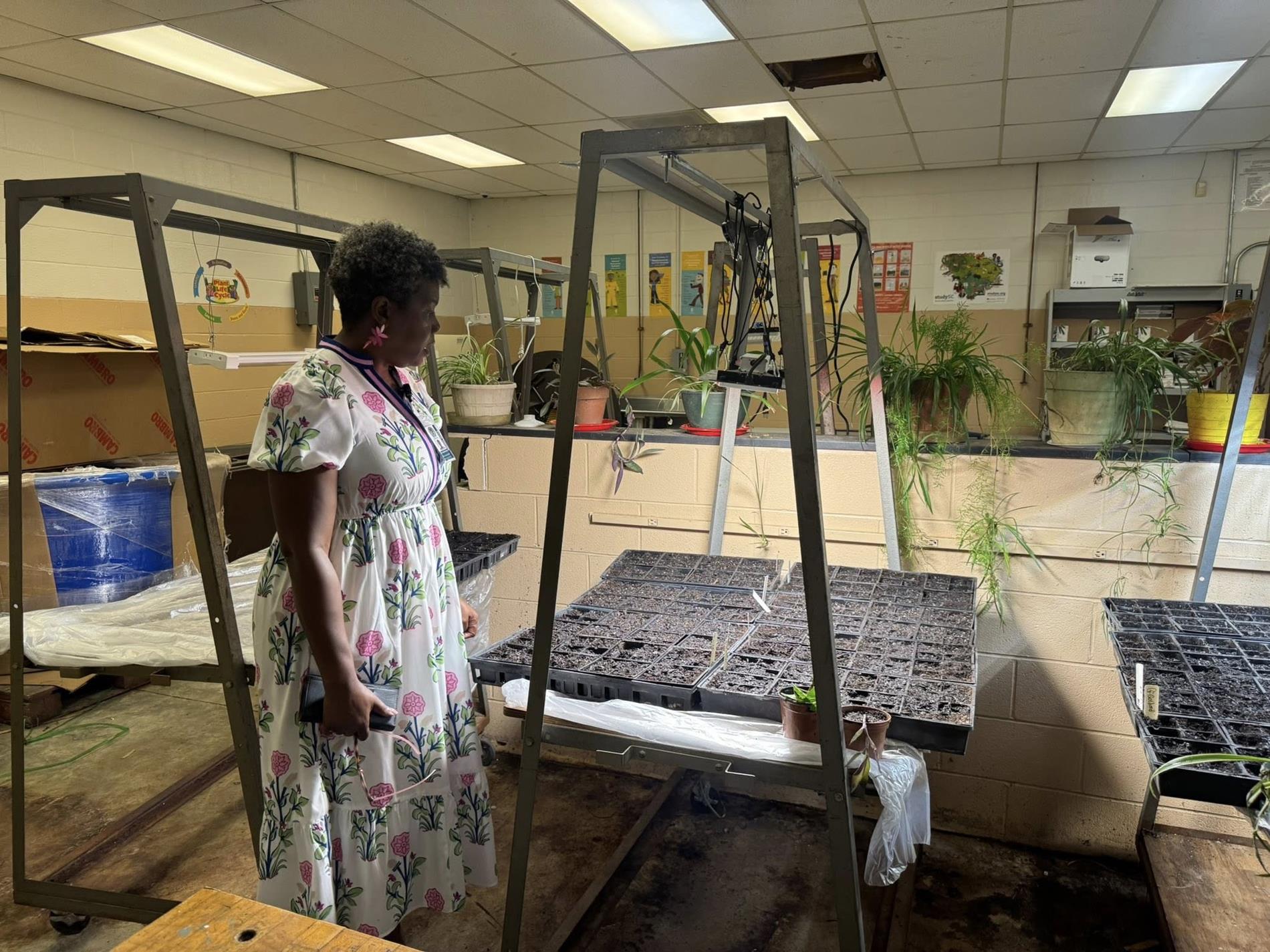 lady looking at plants