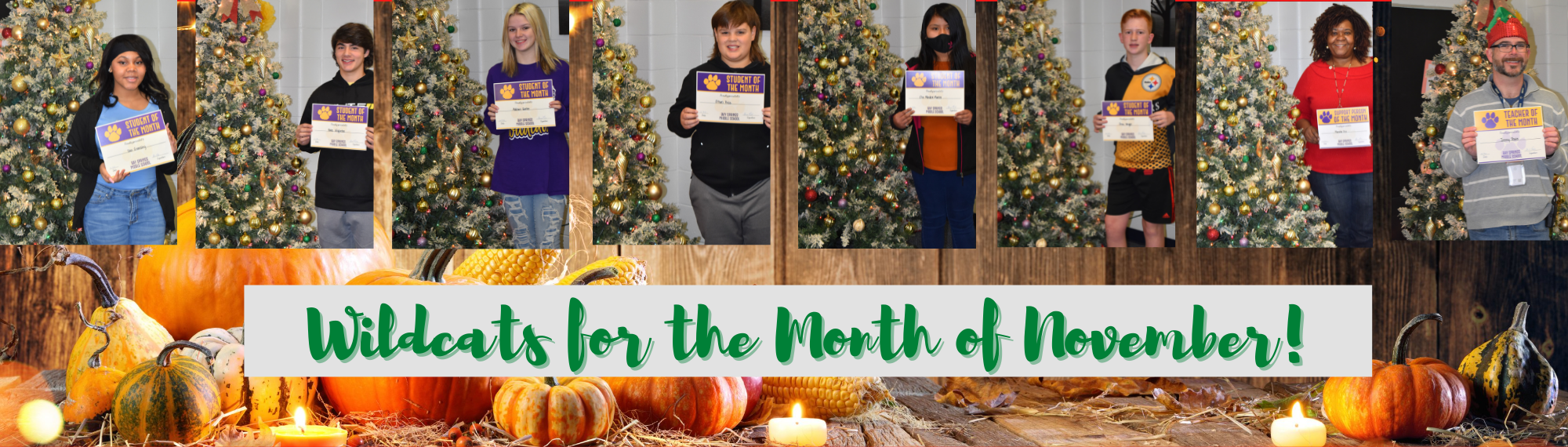 Wildcats for the month of November