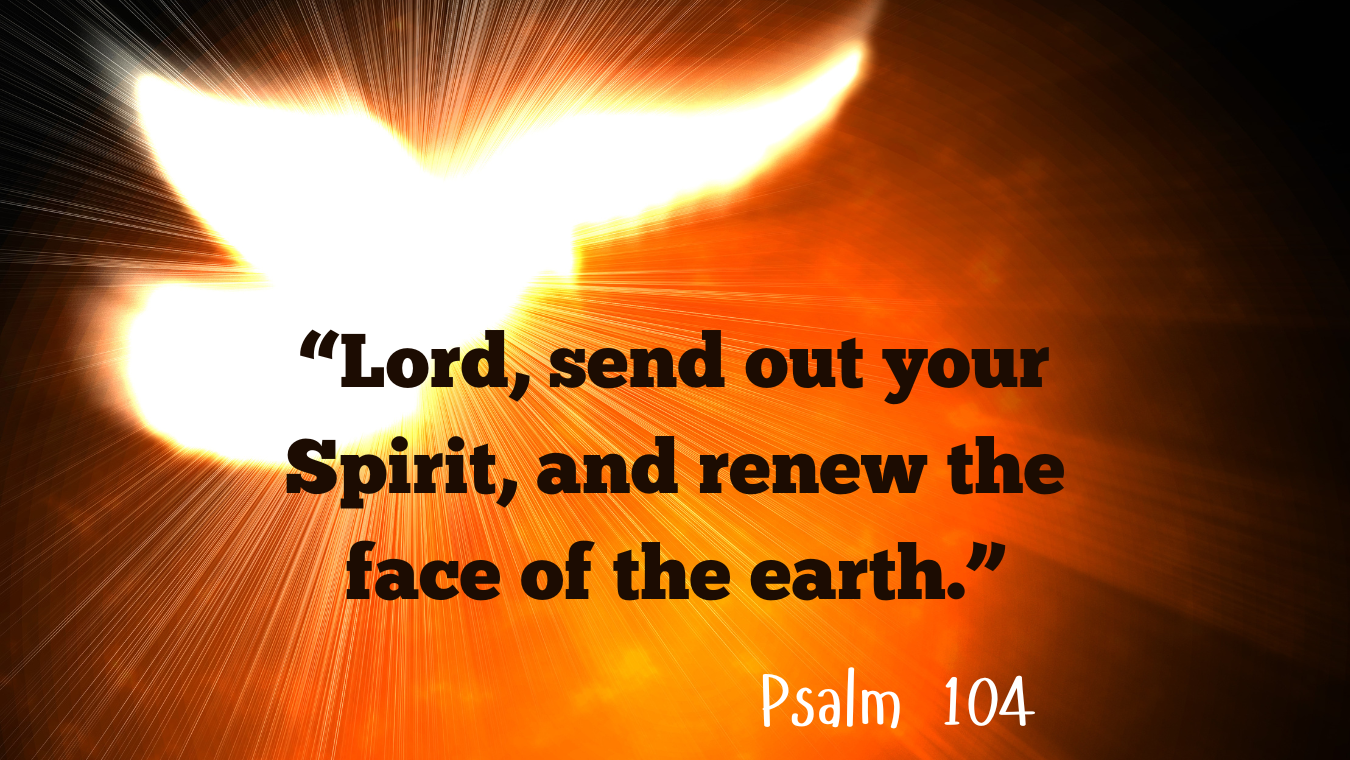 Pentecost Sunday