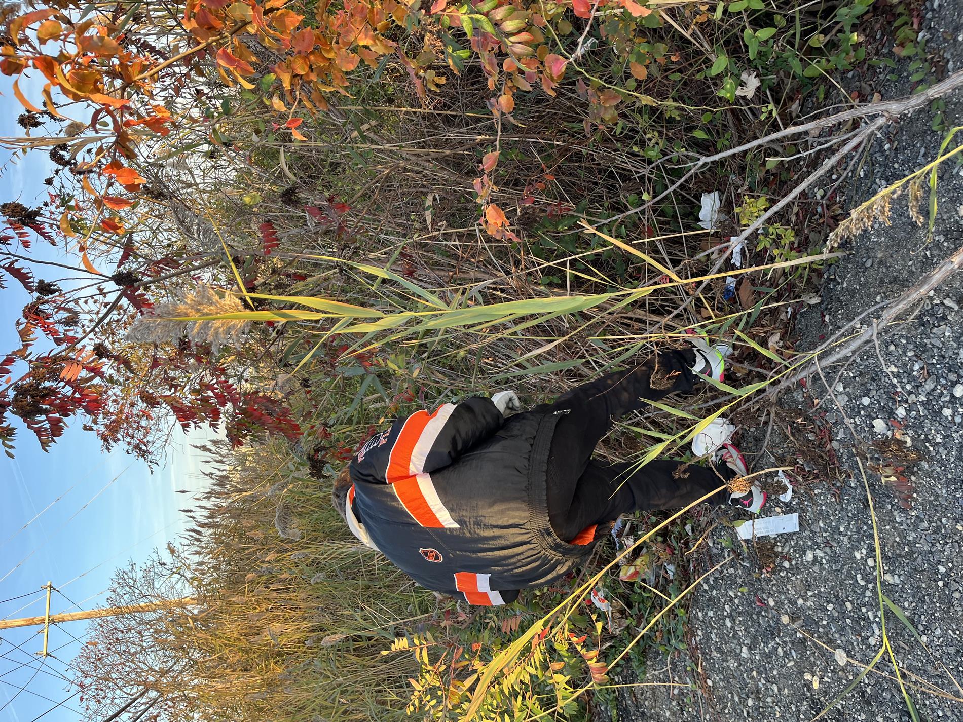 VECC Beach cleanup Nov 2024