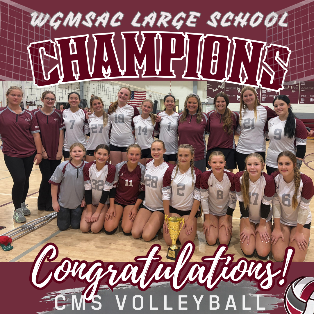 large school division volleyball champions