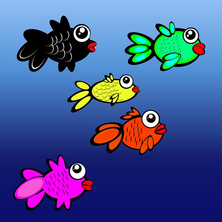 Fish in ocean Fish in ocean