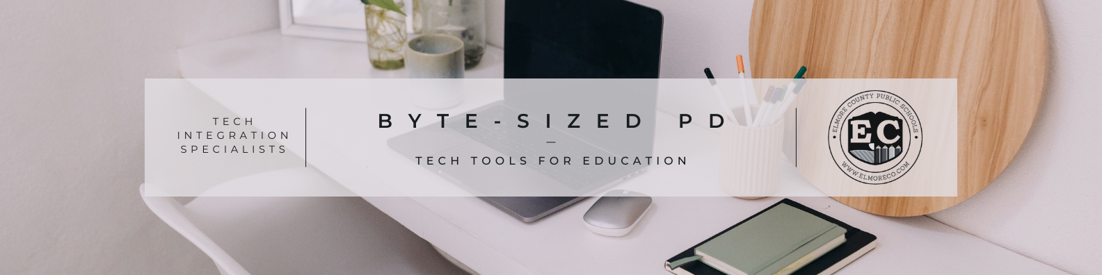 Byte Sized PD Website