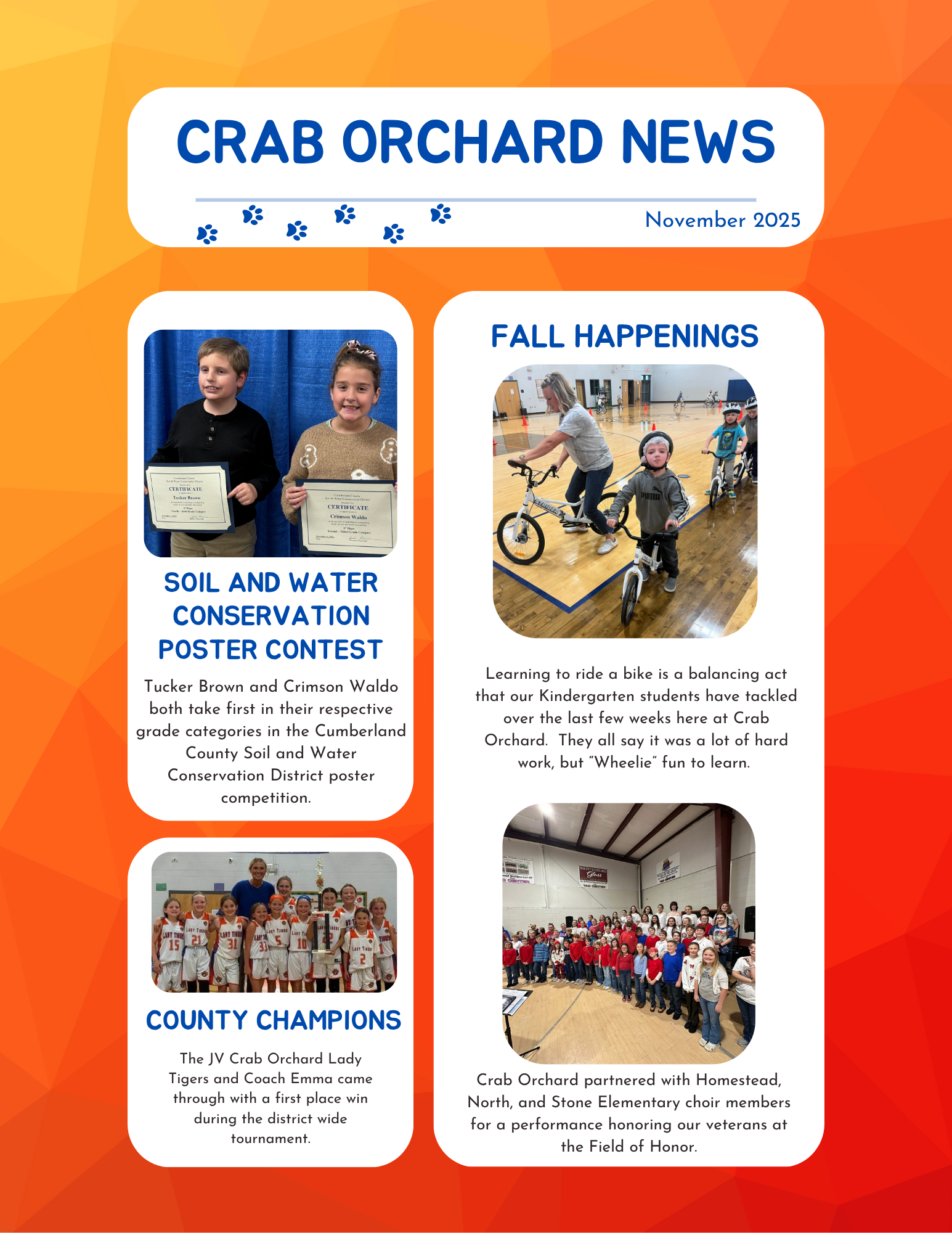 November 2025 Newsletter