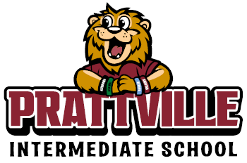 PI Logo